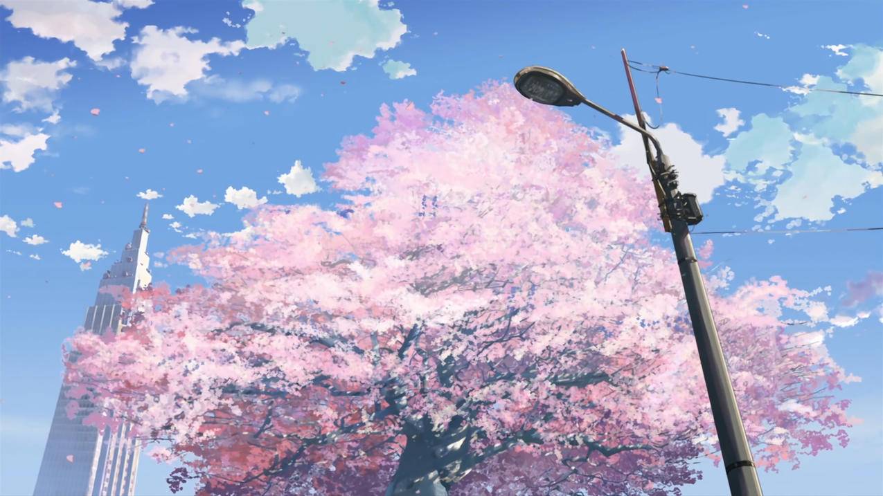 客服主管王小华